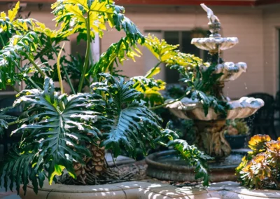 A large plant and fountain in the courtyard at Glendale Healthcare Center