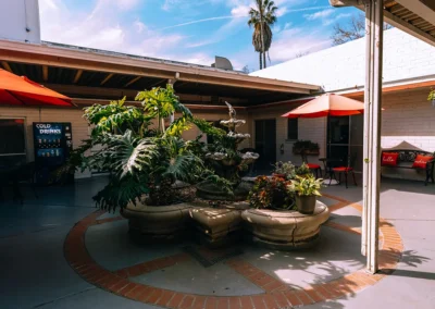 A courtyard with plants and a fountain at Glendale Healthcare Center
