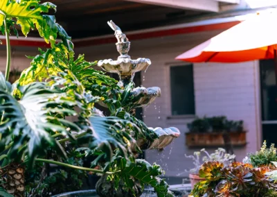 A plant and fountain in the courtyard of Glendale Healthcare Center