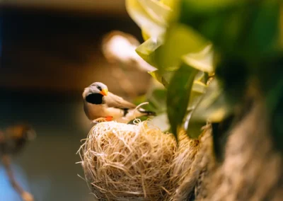 A small bird at Glendale Healthcare Center