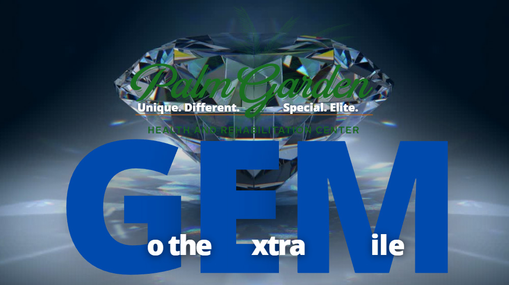 GEM logo