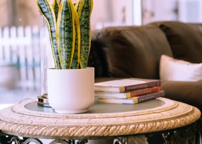 A small table with a plant and books at Valley Palms