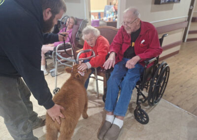 An elderly couple petting a baby cow at Farmington Village
