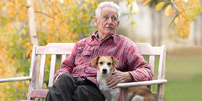 pet therapy outdoor with dog on a bench