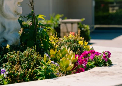 Plants and flowers growing in a fountain at Mountain View