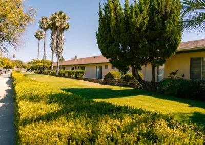 An area with bushes, trees, and grass at Mountain View